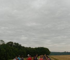 DSC_1536_DxO